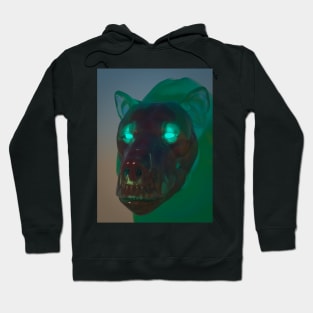 Translucent Bear Hoodie